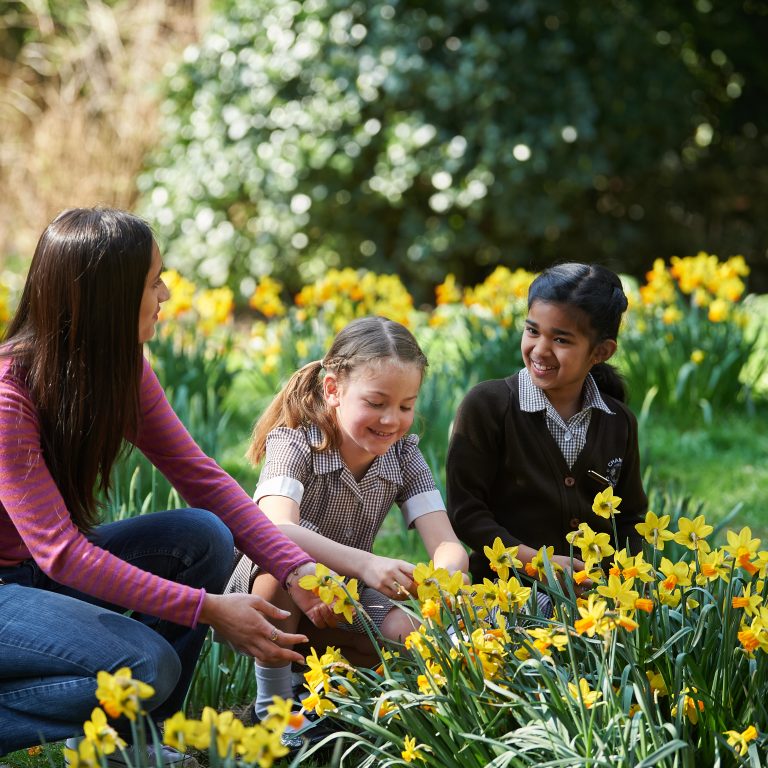 students touching daffodils
