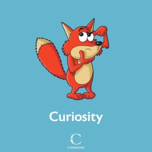 curiosity